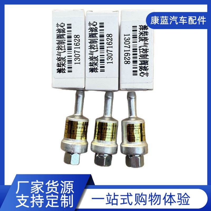 Exhaust Gas Control Valve Filter Element 13071628 for Weichai Natural Gas Engine