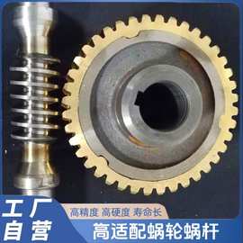 工厂加工黄铜硬齿蜗轮减速机配件45钢蜗杆传动装置金属升降涡轮