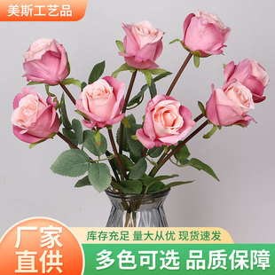 8�^��������õ�廨�� ��Y�üٻ��b����������� �zӰ�������l