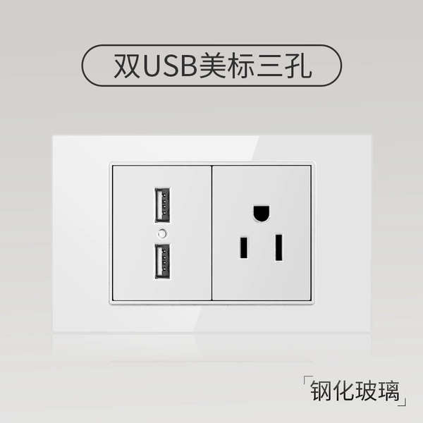 Double USB beauty standard three holes