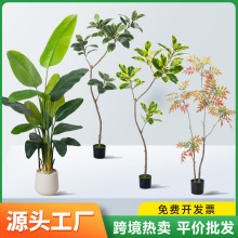 亚马逊散尾葵旅人蕉仿真植物家居摆件蓝花楹盆栽落地室内仿真绿植
