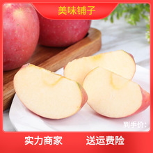灵宝寺河山红富士非洛川新鲜当季脆甜红苹果水果平安果整箱
