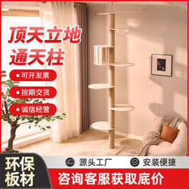 源头工厂顶天立地剑麻猫爬架实木一体大猫专用现货充足工厂批发