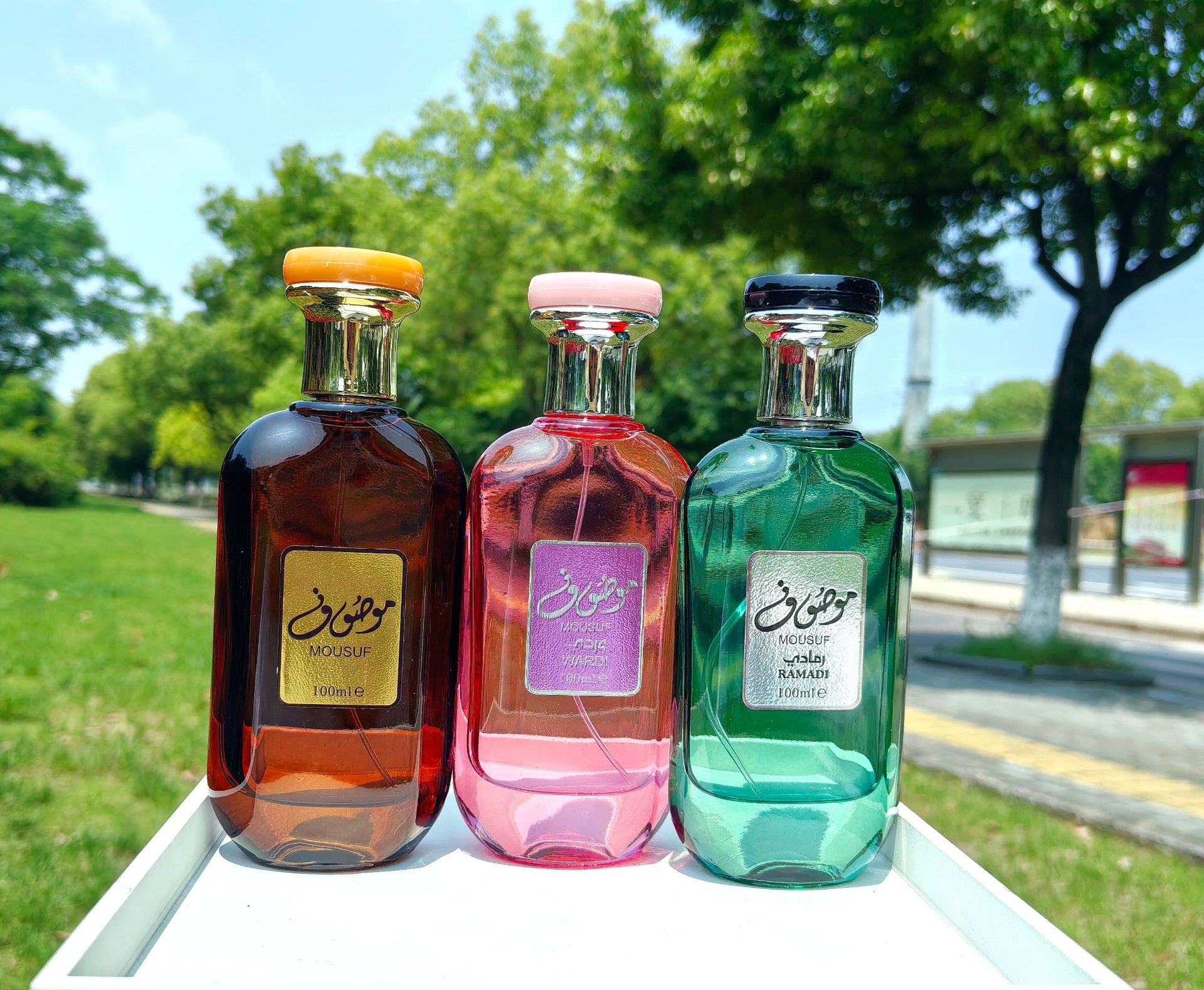 Eau De Toilette Perfume With Deep Woody Notes Middle Eastern Style_voghion.com