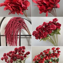 ��c��Y��ˇ�tɫ���ı����b廨õ���ȼ������҃ȿ͏d�[�O