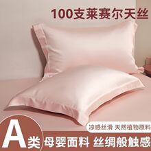 跨境出口纯色天丝枕套家用卧室高级感真丝冰丝枕头套凉爽顺滑枕巾