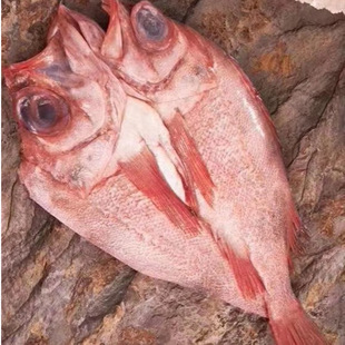 ���lŲ�����u�_���t�~10kg���� ��tʯ���~ ��Ƶ�ʳ��