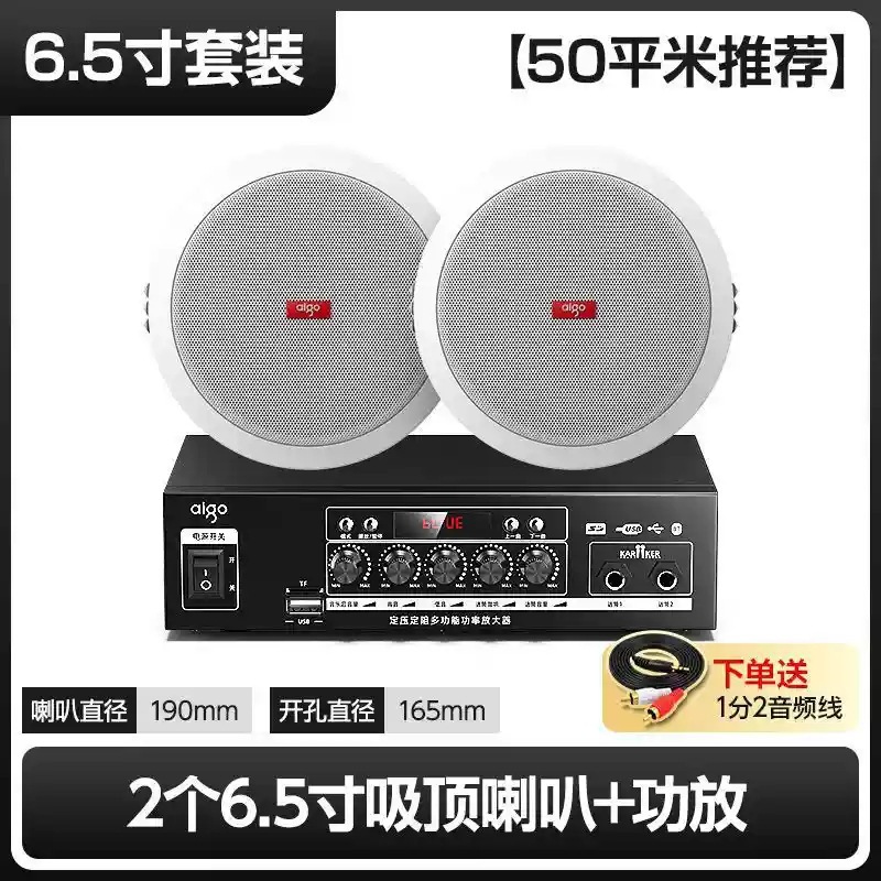 Sistema de Altavoces de Techo con Conexión Bluetooth para Música de Fondo