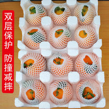 四川愛媛38號果凍橙新鮮當季水果柑橘蜜桔子手剝橙子一整箱批發