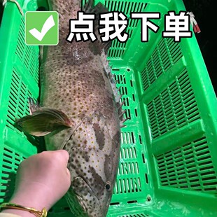 ���۲������r���ʯ���~�r���~�ж���S��机��rһ���b���~��