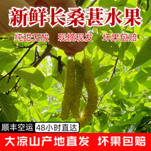 ��S���\���Ĵ����ɽ�Fժ���r̨���Lɣ�ع�����ˮ���ЋDɣ���r��