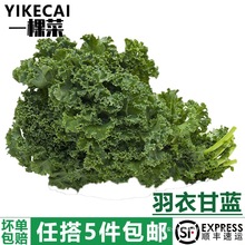 ��yikecai�����¸��{500g ���r�߲����~���mkale����ե֭5�����]