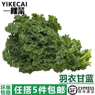 ��yikecai�����¸��{500g ���r�߲����~���mkale����ե֭5�����]