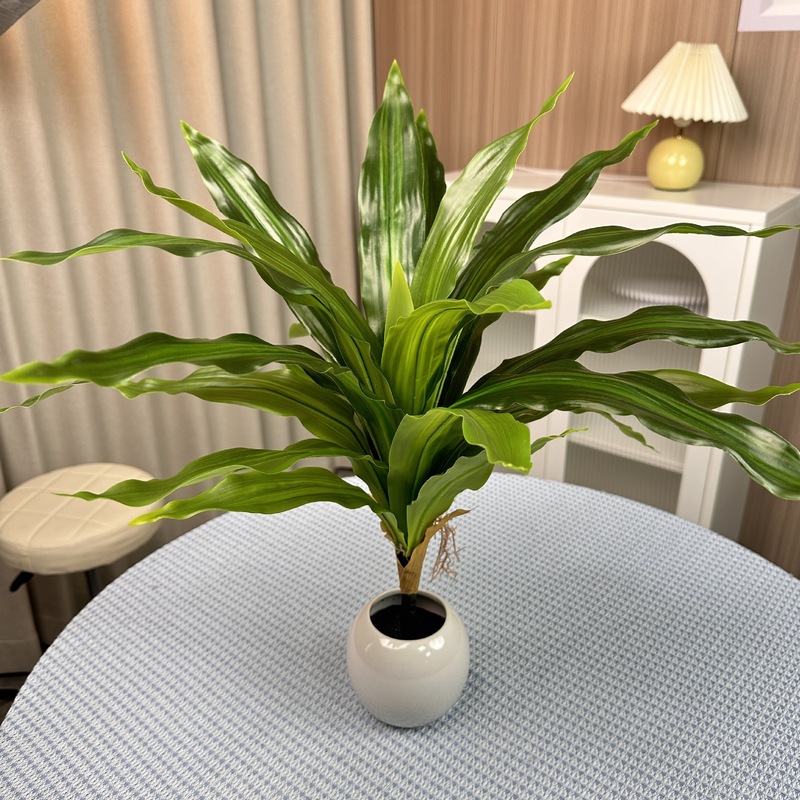 シミュレーション緑植単枝束ブラジル木楡樹葉室内装飾造景竹葵客間装飾シミュレーション植物|undefined