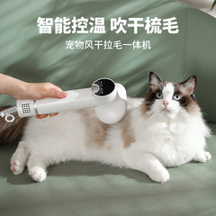 ペット知能ブロー櫛犬猫風乾毛機一体ヘアドライヤー毛櫛美容専用クロスボーダー卸売り