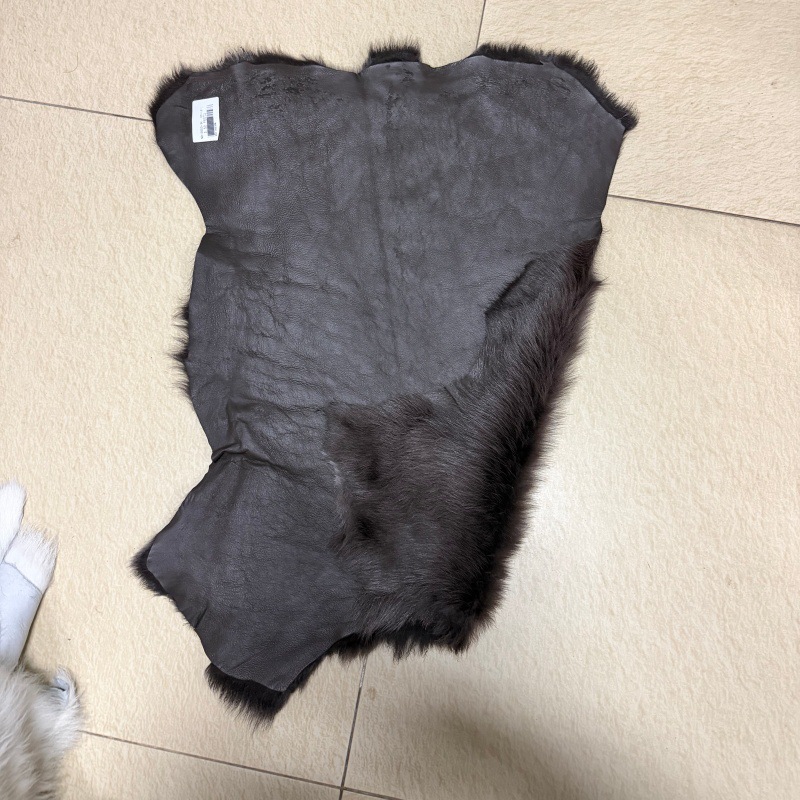 커피색