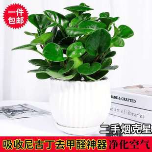 ����G�����҃ȿ͏d�����ļ���������ȩ�����֟������՚���B�Gֲ