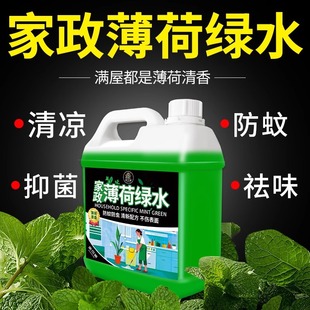 Mint mop liquid mop toilet water cleaner liquid fragrance to taste household tile wood floor cleaner wholesale