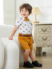 Summer children's dress, shorts, European style, children's clothing, wholesale, with short sleeve