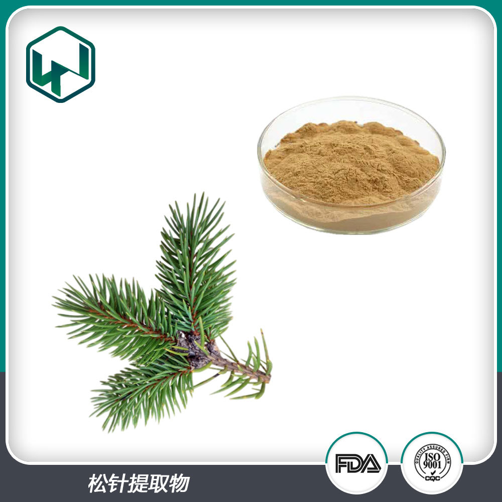 松针提取物_10:1松针粉原料粉植物提取_厂家现货量大从优！