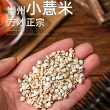 ���x޲����500gС޲���ʲ���؛�F���F��޲��������С��ɢ�b޲l