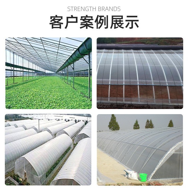 Película de embalaje agrícola anticongelante, película para invernaderos, plástico transparente al por mayor, película para sandías, fabricante de película agrícola para vegetales