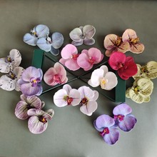 ���滨���z��3D�����m���^С�t���W�t��c�YƷ�b��ֶY�ٻ����l