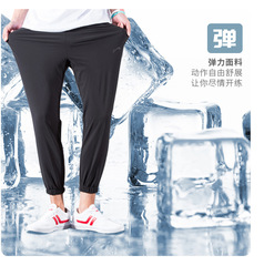 Sports pants Hong