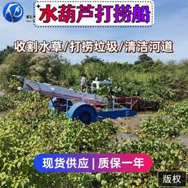 浙江公园人工湖水草打捞船 水浮莲浮萍水葫芦收割船 全自动保洁船