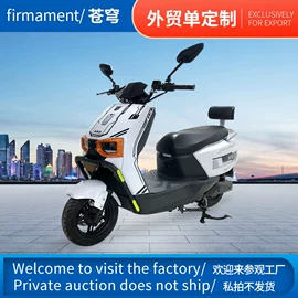 其他电动车;其他摩托车;电动自行车