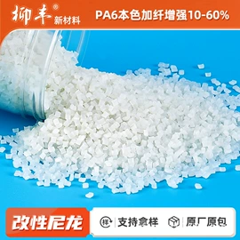 PA6;PA66;PPA
