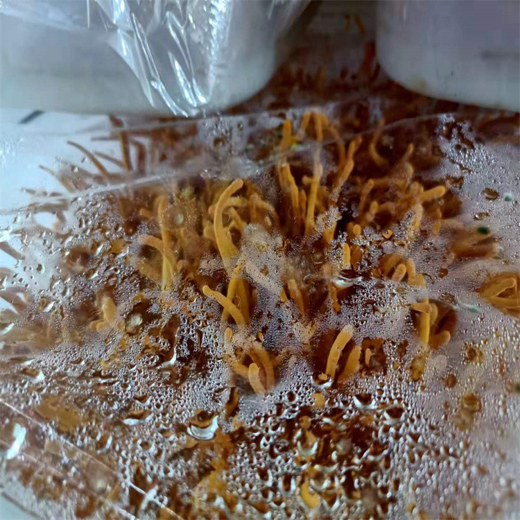 微信图片_202208130953055