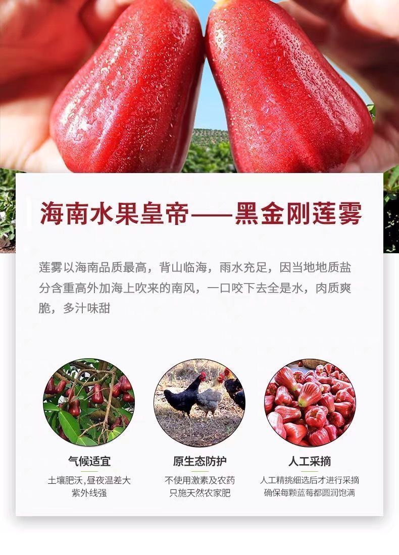 801be676-3240-4e6c-97bd-fbfa694eb202.jpe