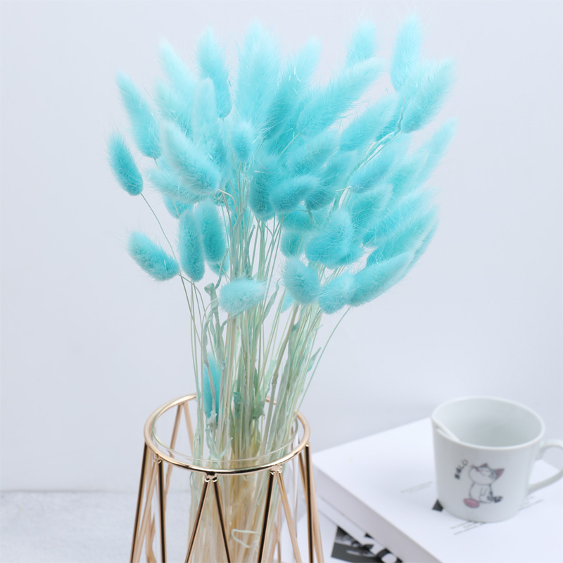 하늘색 토끼꼬리풀