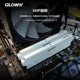 J8 Vest 3264g Strip Ddr43600320 Tianzhe X216Gg0 Desktop Memory Strip 8g Tianzhe G3