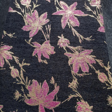 ½zc Ľqѩ᠖ͮLֲﻨܽٽzɫỨ  SF