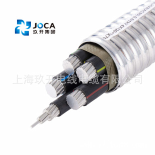 �Ϻ����_/�o�aȺ��ZC-YJLHV220.6/1KV3*185�X�Ͻ��z�b�����|��