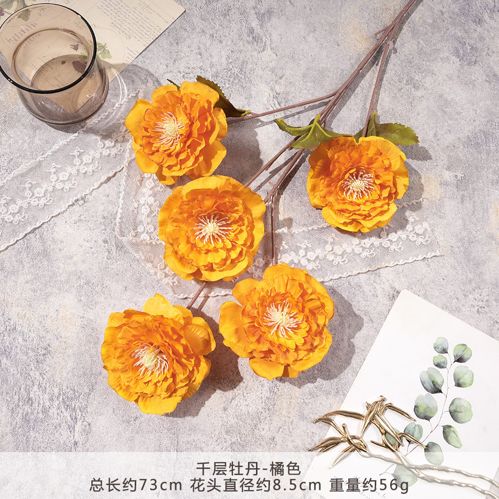 LM-Một ngàn lớp hoa mẫu đơn-cam