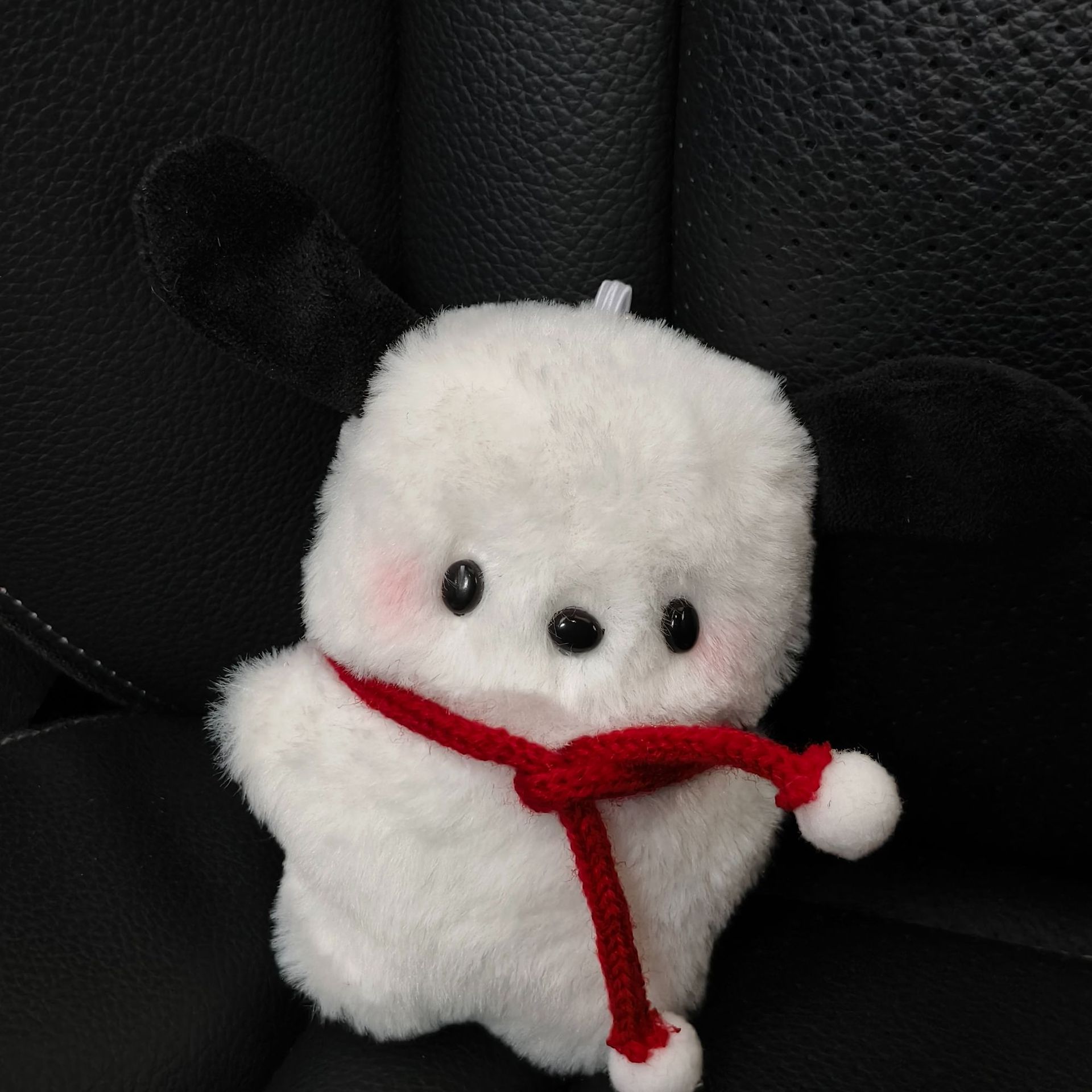 빨간 스카프 파차 개