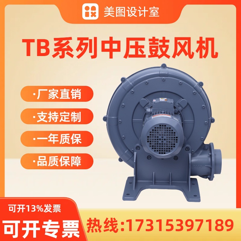离茨TB125-3除尘吹水 堆肥发酵送风 鼓风机纺织机械专用中压风机