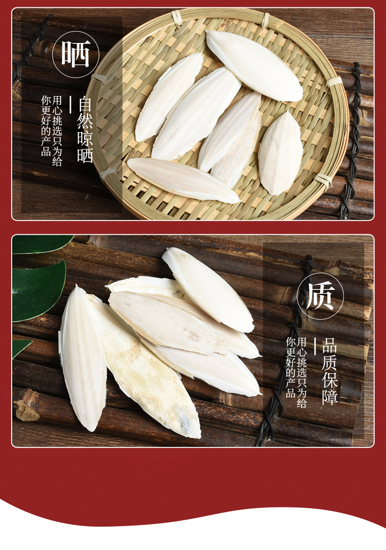 Hai Piao Xiao (Sepia esculenta) — Dried Cuttlebone Piece, Traditional Chinese Herb quality and texture