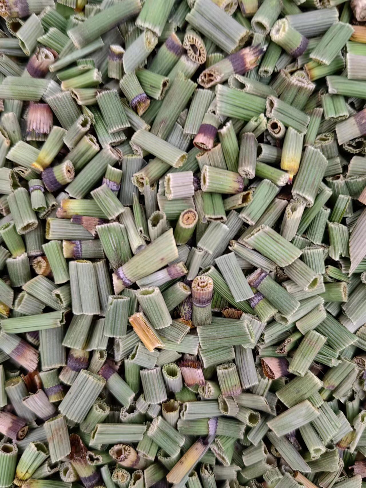 Mu Zei (Equisetum hyemale) — Dried Horsetail Herb, 500g, Food-Grade Botanical key features