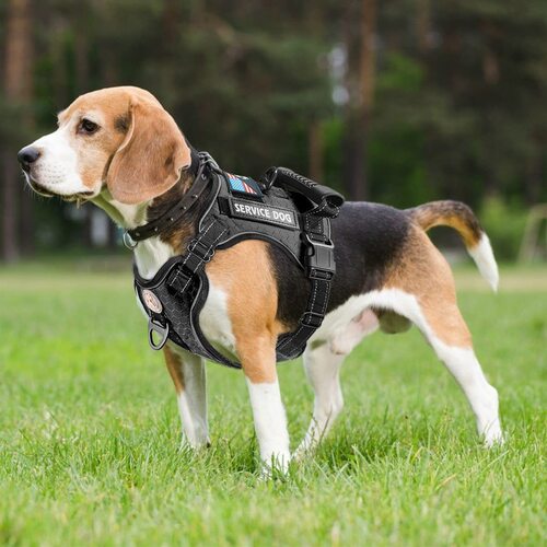  new explosion-proof shock-absorbing comfortable night vision reflective pet harness dog vest-type traction harness