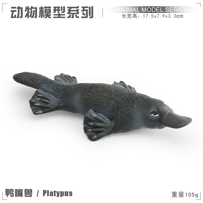 PL127-2548鸭嘴兽  105g