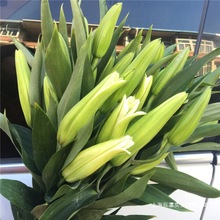 ����Ϧ���˹��������Q��ˮ���^������������ٺ��r��õ����^ֱ�l