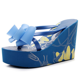�����Y�¸���ЬŮ���⴩11cm��׷�������Women's flip flops�羳