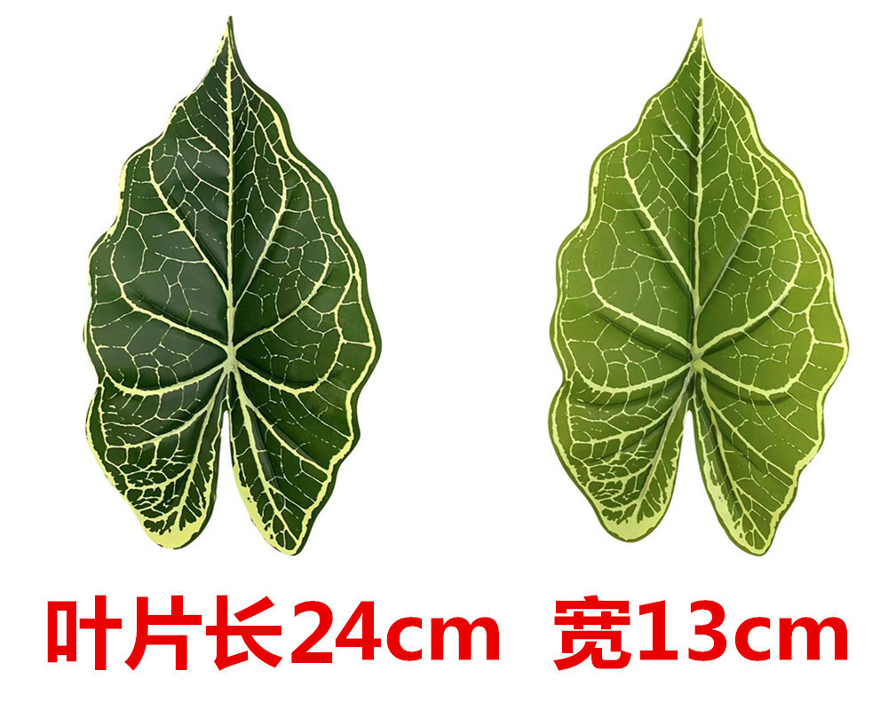 未命名_副本54_副本