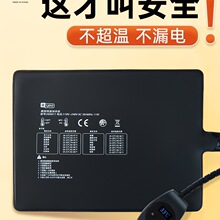 �����ӟ�|�������ؿ������~�׽��܌��ﱣ���،m���x��B��Ӝ�Ƭ