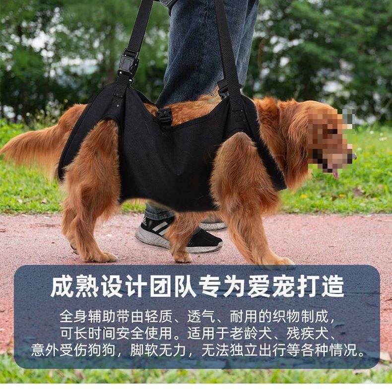 Рюкзак-переноска для животных Braided Night Pet (Размер L)