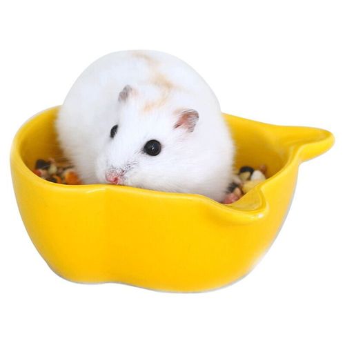 Hamster food bowl, small dish, ceramic thick, anti-turning, fixed large-capacity bowl, squirrel, hedgehog, golden bear supplies